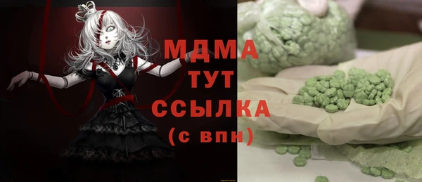 ГАЛЛЮЦИНОГЕННЫЕ ГРИБЫ Лагань