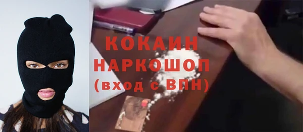 ГАЛЛЮЦИНОГЕННЫЕ ГРИБЫ Лагань